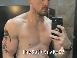 TheSolidSnake23