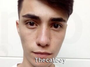 Thecatboy