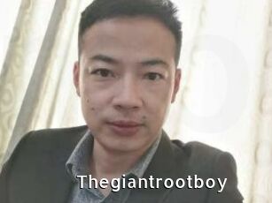 Thegiantrootboy