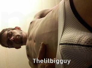 Thelilbigguy