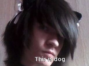 This_is_dog