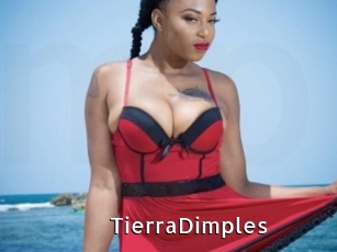 TierraDimples