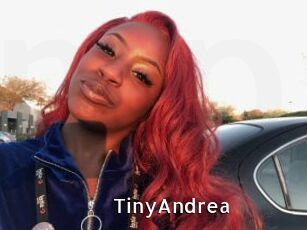 TinyAndrea