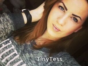 TinyTess