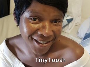 TinyToosh