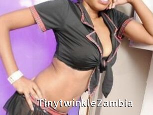TinytwinkleZambia