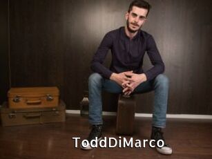 ToddDiMarco