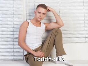 ToddYorkX