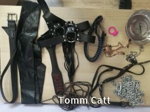 Tomm_Catt