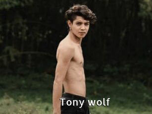 Tony_wolf