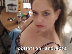 TooHotTooHandle018