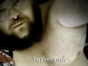 Toyservent My Porno Stash