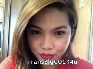 TransBigCOCK4u