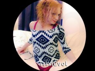 TrixiEvol