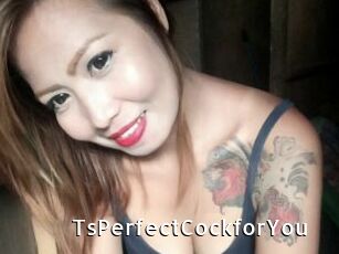 TsPerfectCockforYou