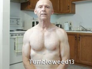 Tumbleweed13