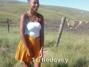 Turtledovey