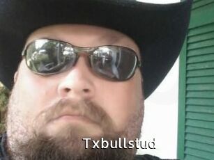 Txbullstud