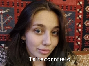 Taitecornfield