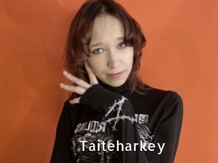 Taiteharkey
