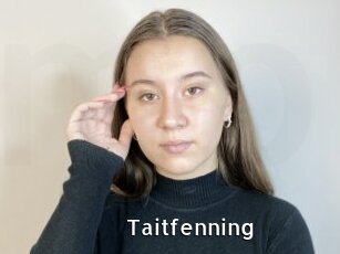 Taitfenning
