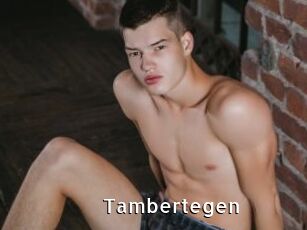 Tambertegen