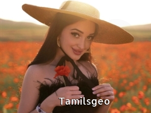 Tamilsgeo