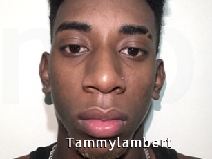 Tammylambert