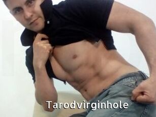Tarodvirginhole