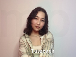 Tatebach
