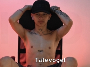 Tatevogel