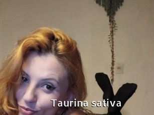 Taurina_sativa