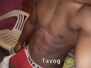 Tavog