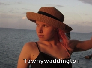 Tawnywaddington