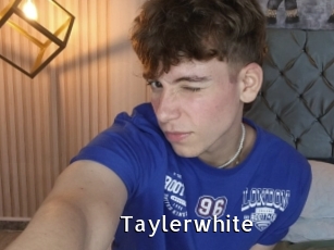 taylerwhite My Porno Stash