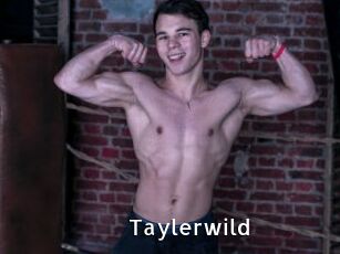 Taylerwild