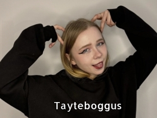 Tayteboggus