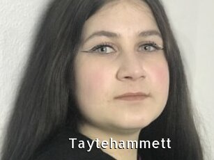 Taytehammett