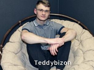 Teddybizon