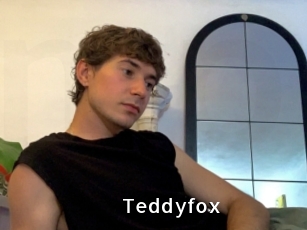Teddyfox