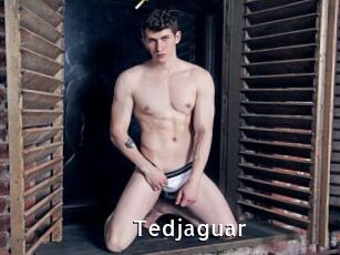 Tedjaguar