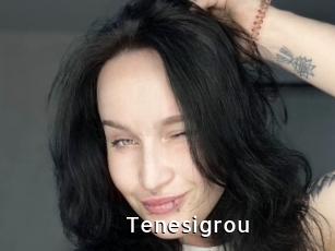 Tenesigrou