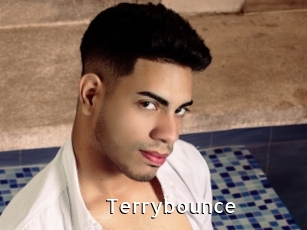 Terrybounce