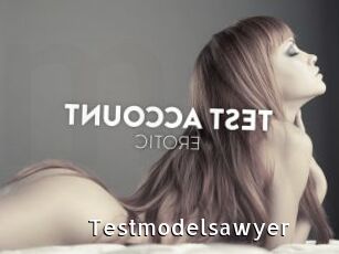 Testmodelsawyer