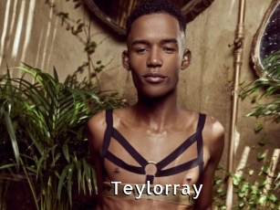 teylorray My Porno Stash