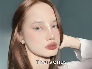 Thaivenus