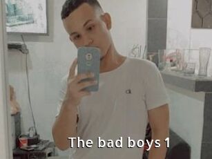 The_bad_boys_1