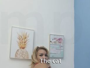 The_cat