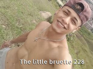 The_little_bruette_228