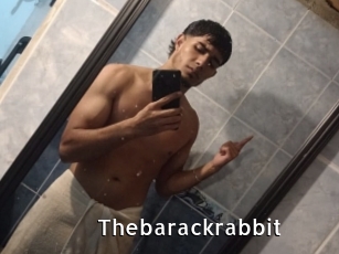 Thebarackrabbit